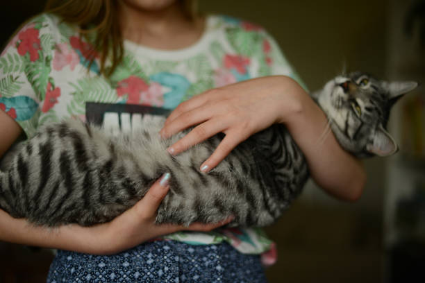 A charm that looks exactly like your cat